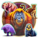 Gold Pile: Orangutan!